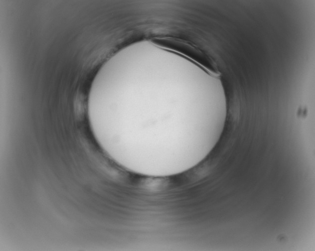 X0000113100135200909182147