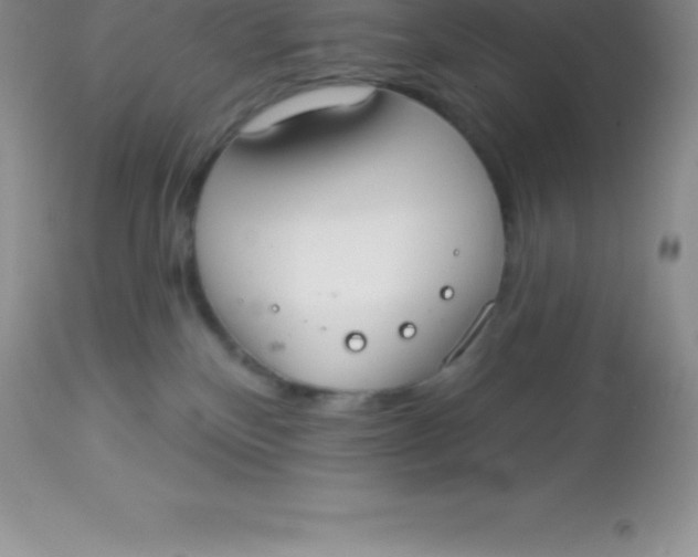 X0000113100136200909182147