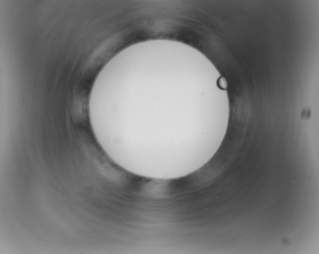 X0000113100138200909182147