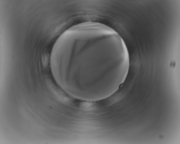 X0000113100139200909182147