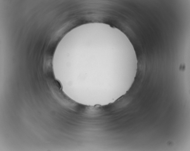 X0000113100141200909182147