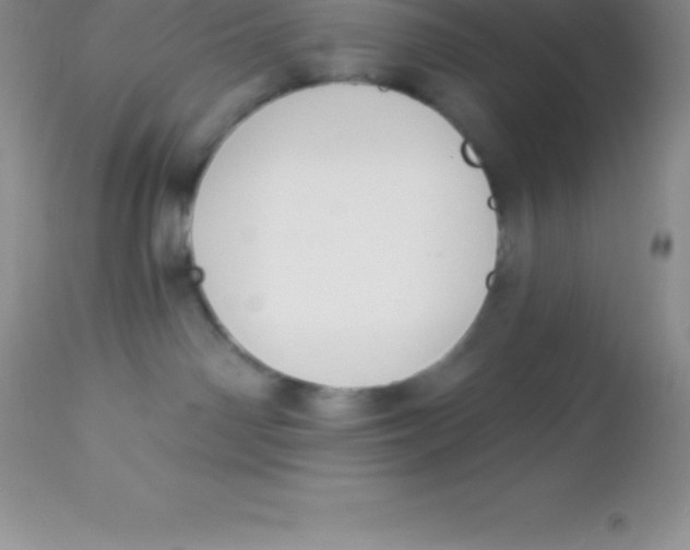 X0000113100142200909182147