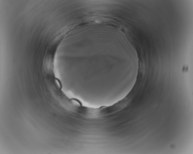 X0000113100143200909182147