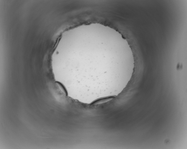 X0000113100144200909182147
