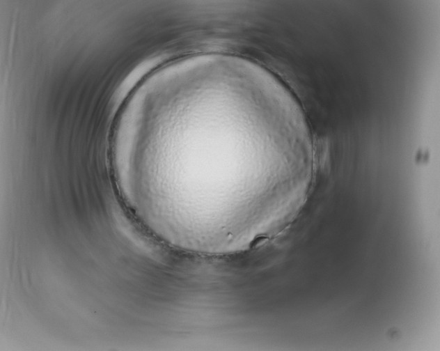 X0000113100147200909182146