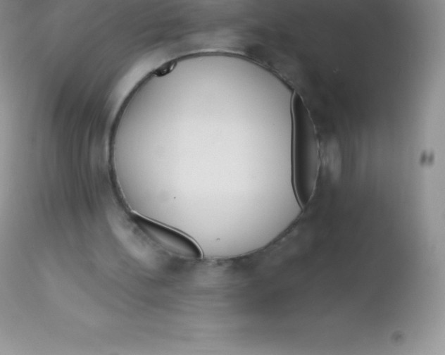 X0000113100148200909182146