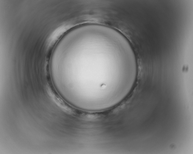 X0000113100149200909182146