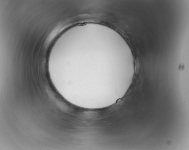 X0000113100150200909182146