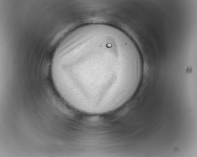 X0000113100153200909182146