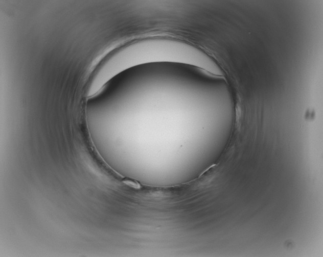 X0000113100156200909182146