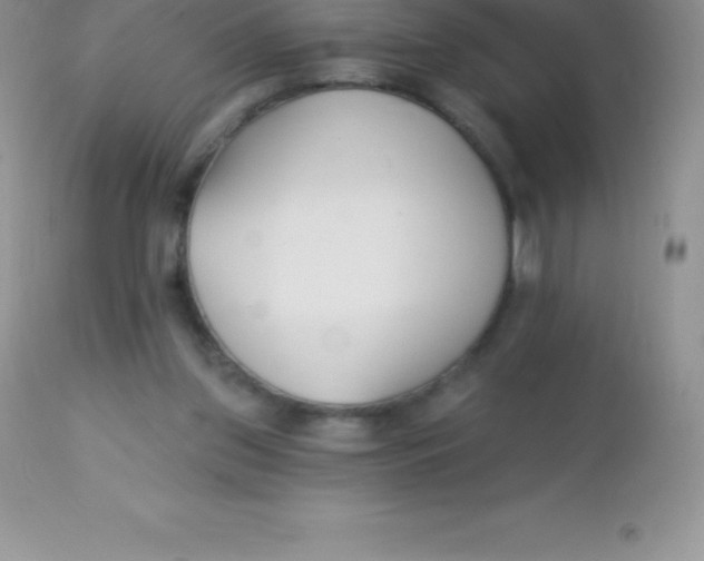 X0000113100157200909182146