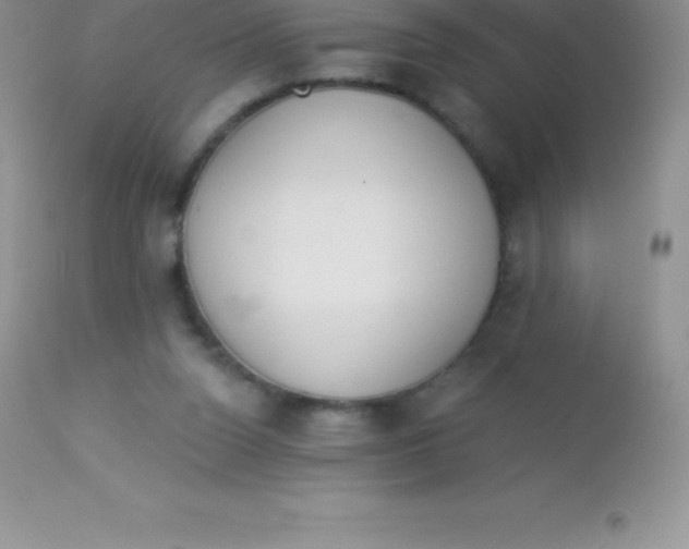 X0000113100160200909182146