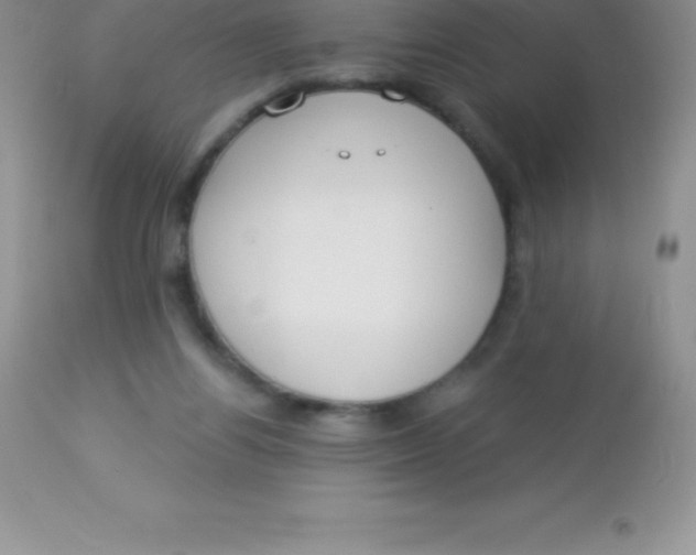 X0000113100164200909182146