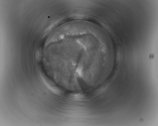 X0000113100165200909182146