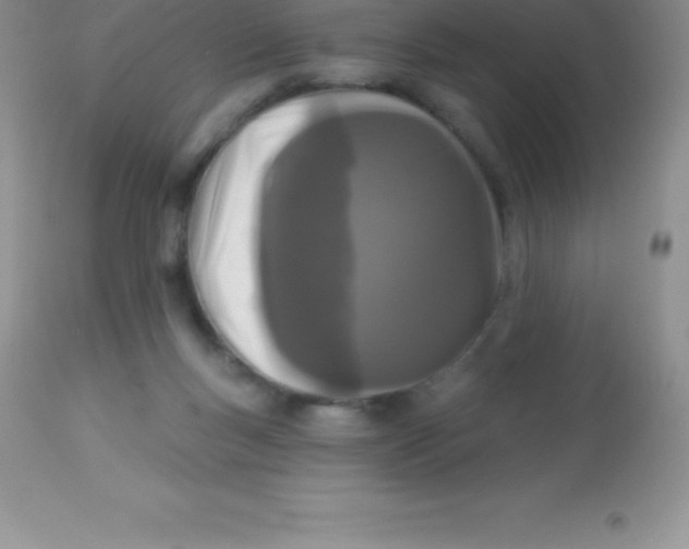 X0000113100167200909182146