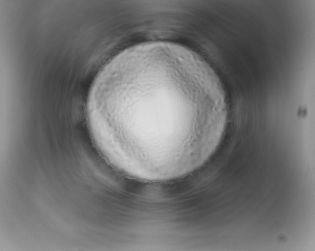 X0000113100169200909182146