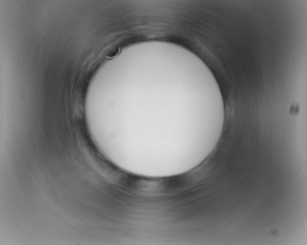 X0000113100170200909182146