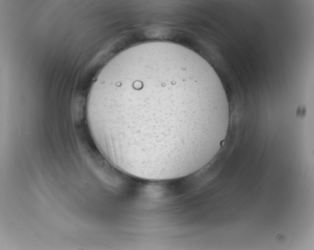X0000113100171200909182146