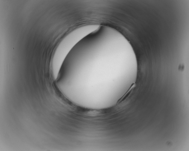 X0000113100172200909182146