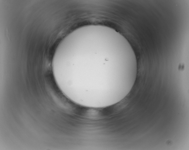 X0000113100176200909182146