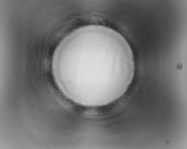 X0000113100177200909182146