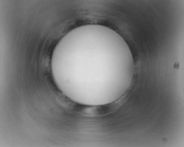 X0000113100178200909182146