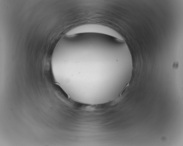 X0000113100180200909182146