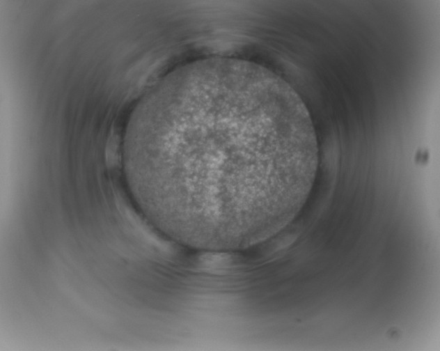 X0000113100181200909182146