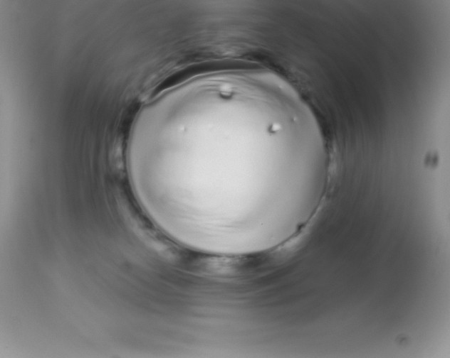 X0000113100182200909182146