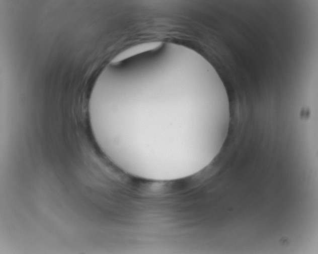 X0000113100184200909182146