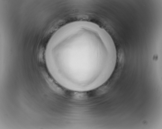 X0000113100185200909182146