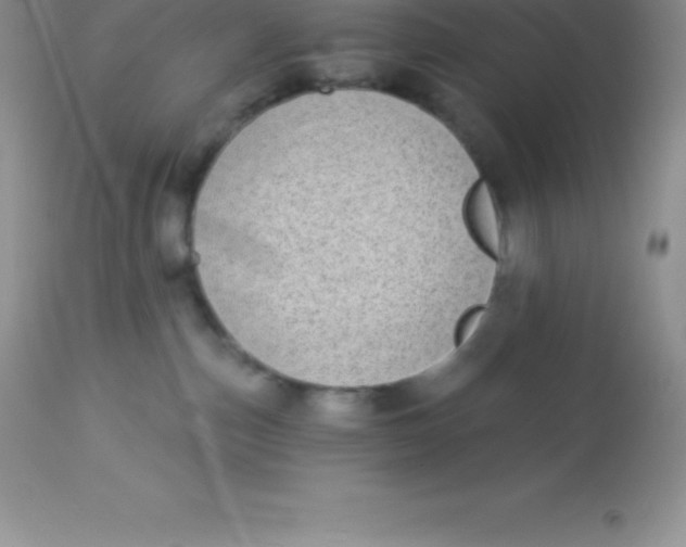 X0000113100187200909182147