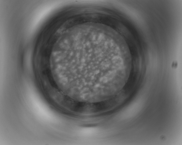 X0000113100189200909182147