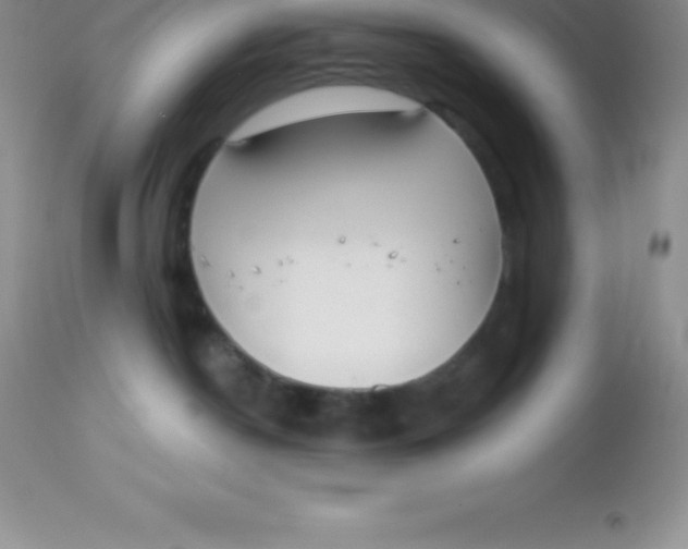 X0000113100190200909182147