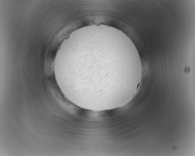 X0000113100191200909182147