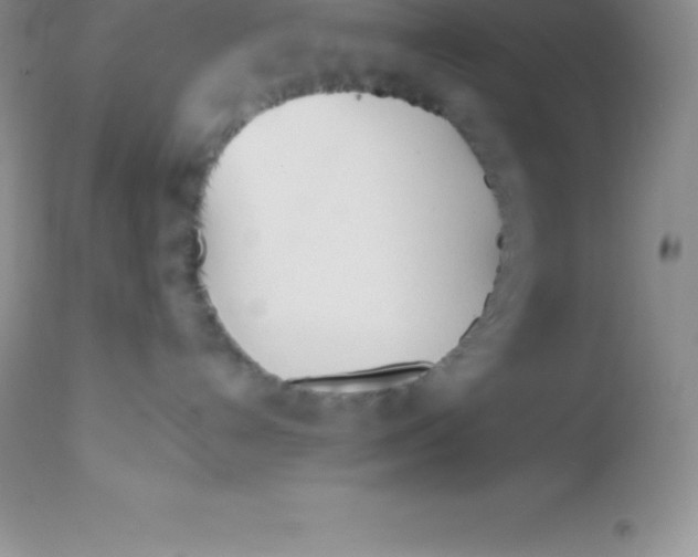 X0000113100192200909182147