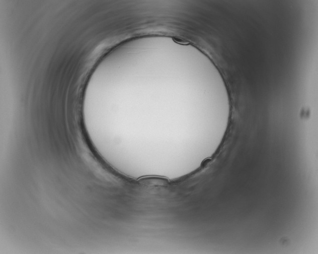X0000113100193200909182146