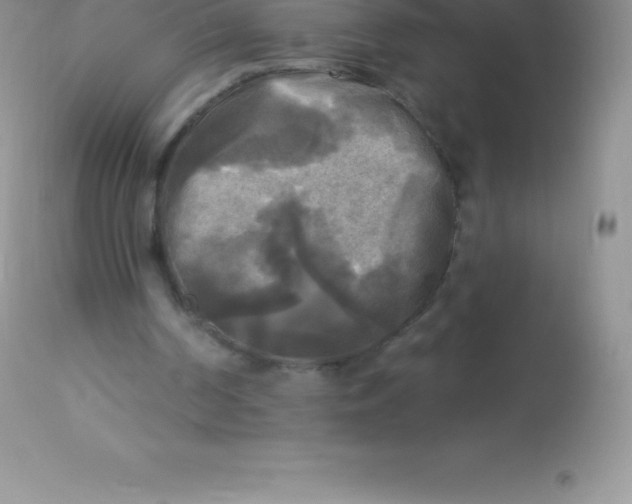 X0000113100194200909182146