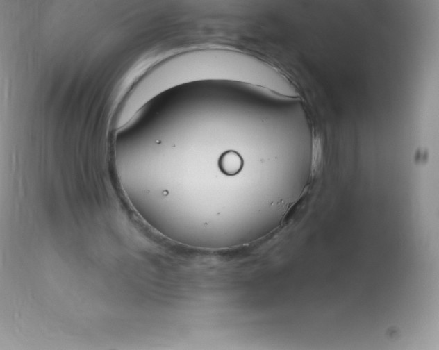 X0000113100195200909182146