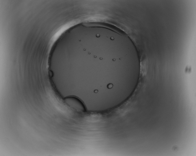 X0000113100196200909182146
