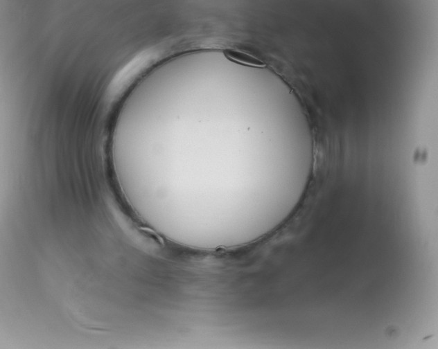 X0000113100197200909182146