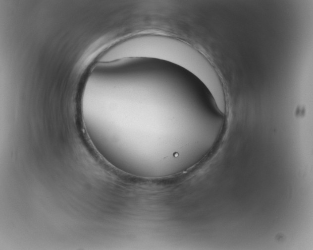 X0000113100199200909182146