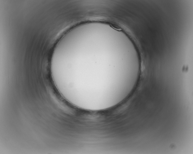 X0000113100201200909182146