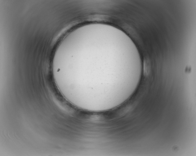 X0000113100204200909182146