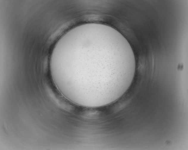 X0000113100206200909182146