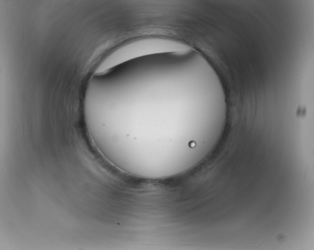 X0000113100207200909182146