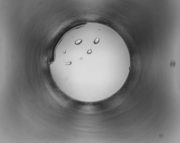 X0000113100212200909182146