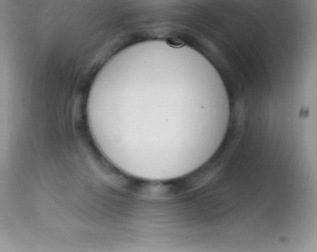 X0000113100217200909182146