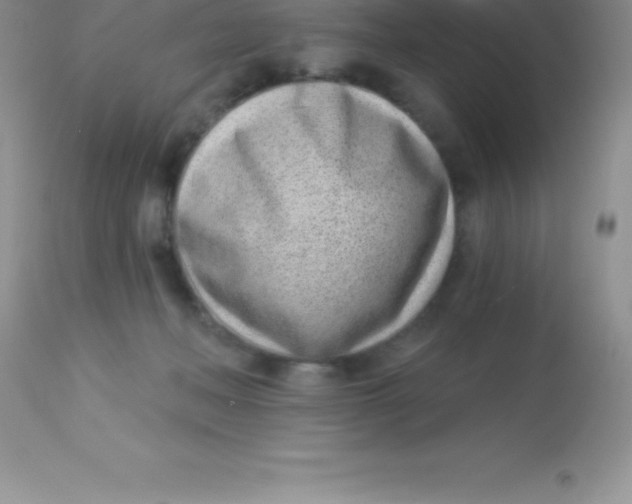 X0000113100222200909182146