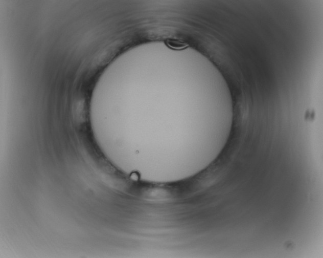 X0000113100224200909182145